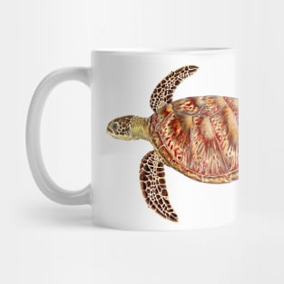 Green turtle Chelonia mydas Mug